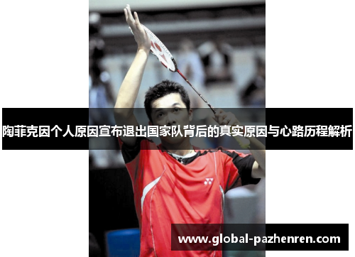 陶菲克因个人原因宣布退出国家队背后的真实原因与心路历程解析